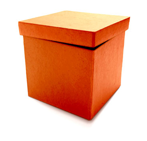 the Orange Box